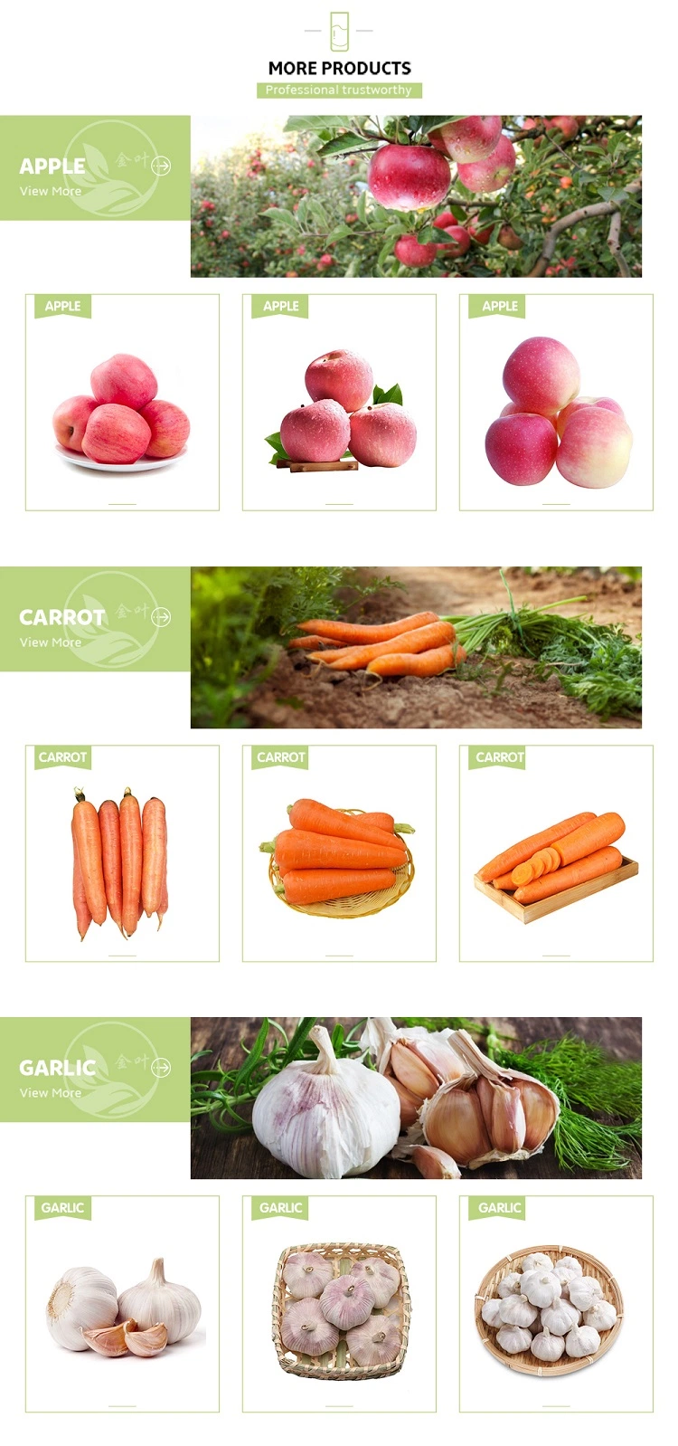 2021 New Crop Fresh Carrot Top Quality Lowest Price From China 80-150g, 150g-200g, 200g-250g, 5kg/Carton, 10kg/Carton Experience Producer Direct Supply